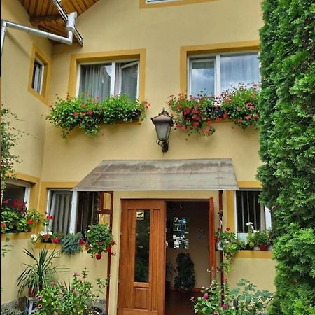 B&B Dumbrava Гура-Гуморулуй Экстерьер фото
